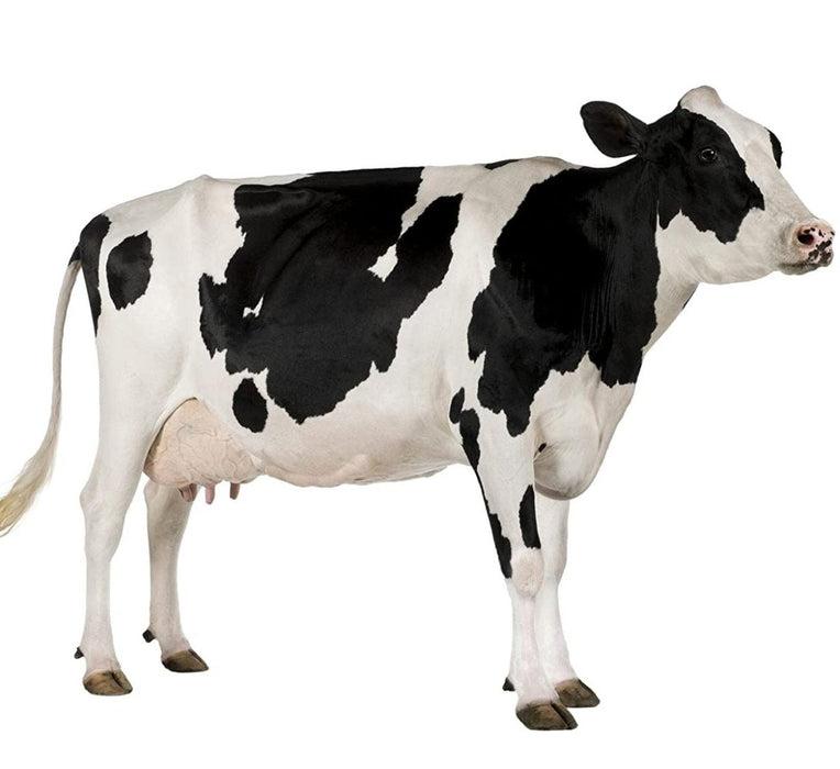 Cow Manure "Organic" 100% Natural Fertilizer 10,16 & 25Kg سماد البقر - Greensouq - 