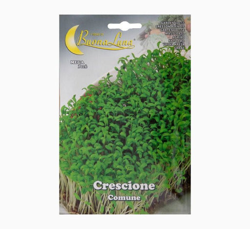 Crescione Comune Seeds - Greensouq - 