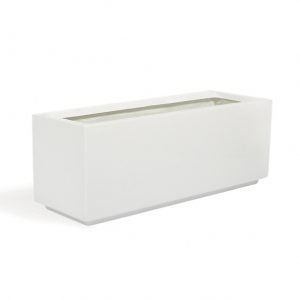 Croton Banana Trio in Rectangular Fiber Glass Planter (70x30x30cm) - Greensouq - 
