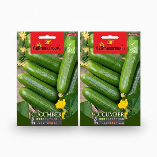 Agrimax Cucumber Seeds - Greensouq -