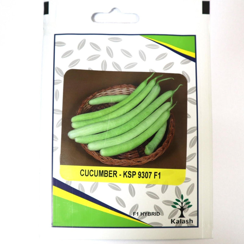 Cucumber KSP 9307 F1 Hybrid Premium Quality Seeds - Greensouq - 