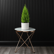 Cupressus Macrocarpa, Goldcrest Wilma, Lemon Cyperus - Greensouq - 