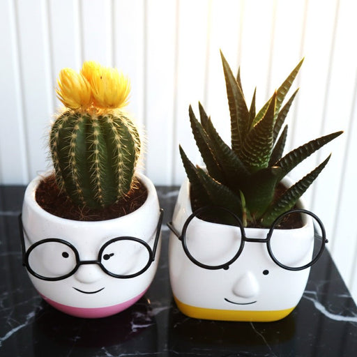 Cute "Mom & Dad" Face Succulent Planters with Glasses (Set of 2) (Best as Gift) - Greensouq - 