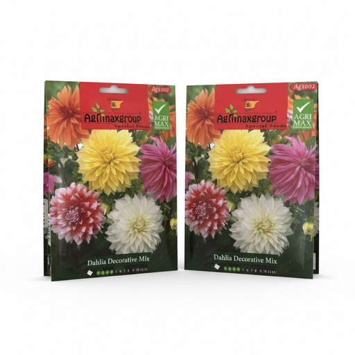 Dahlia Decorative mix Flower Seeds by Agrimax Spain - Greensouq - 