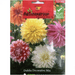Dahlia Decorative mix Flower Seeds by Agrimax Spain - Greensouq - 