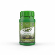 Desert Energy Ironganese Liquid Fertilizer | Dubai Gardens Essentials! - Greensouq - 