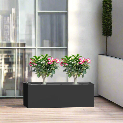 Desert Rose Duo in Rectangular Fiber Glass Planter (GRP) (60x30x30cm) - Greensouq - 