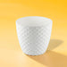Diamond Plastic Flower Pot - Greensouq - 