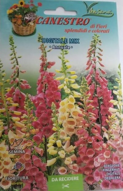 Digitale Mix Seeds by CANESTRO - Greensouq - 
