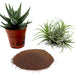 Disper CaB Best for Boron & Calcium Deficiencies - Greensouq - 