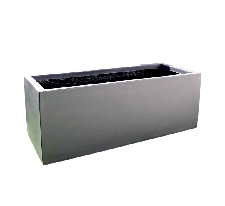 Dracaena Draco Duo, Drago or Dragon Tree in Fiber Glass pot (70x30x30) - Greensouq - 