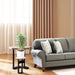 Dracaena Sanderiana - Greensouq - 