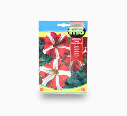 “Dwarf” Compact Red Star 600mg – Fito