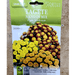 Dwarf Marigold Flower seeds "Tagete Nano in Mix" by Hortus - Greensouq - 