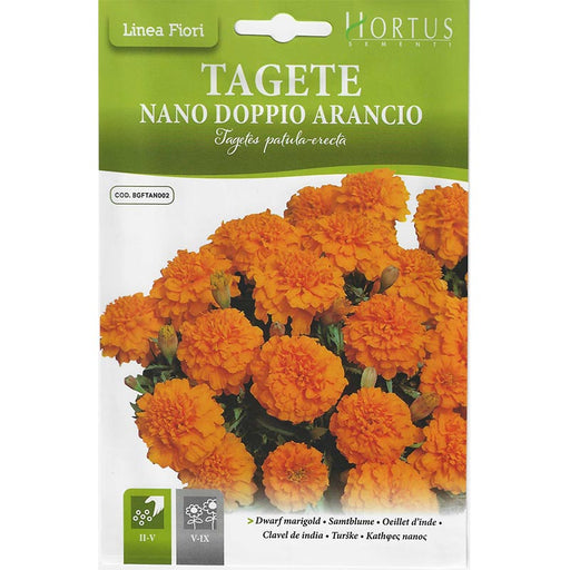 Dwarf Marigold "Tagete Nano Doppio Arancio" Premium Quality Seeds by Hortus - Greensouq - 