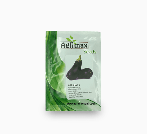 Egg Plant Barsha F1 Premium Quality Seeds - Greensouq - 