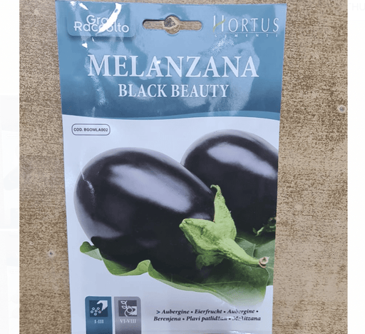 Eggplant Vegetable Seeds "Melanzana Black Beauty" by Hortus - Greensouq - 