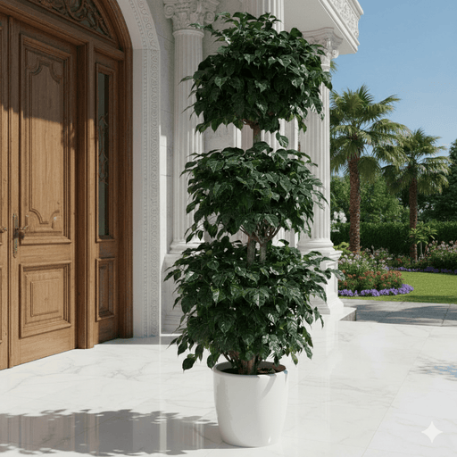 Elegant Outdoor China Doll 3 Step Plant - Greensouq - 