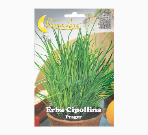 Erba Cipollina Mega Pack - Greensouq - 