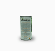 Evergreen Bunching Onions Seeds Tin - Greensouq - 