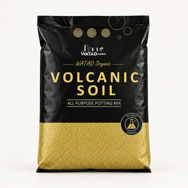 Premium  Volcanic Soil | Indoor & Outdoor Use Made in Jordan