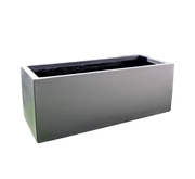 Ficus Banjamina Starlight Trio in Rectangular Fiber Glass Planter (GRP) (70x30x30cm) - Greensouq - 