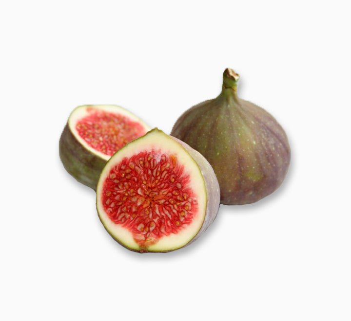 Ficus Carica "Fig Tree" شجرة التين - Greensouq - 