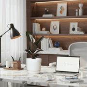 Ficus Elastica “Abidjan” (Rubber Plant) 30 - 40cm in Ceramic Pot - Greensouq - 