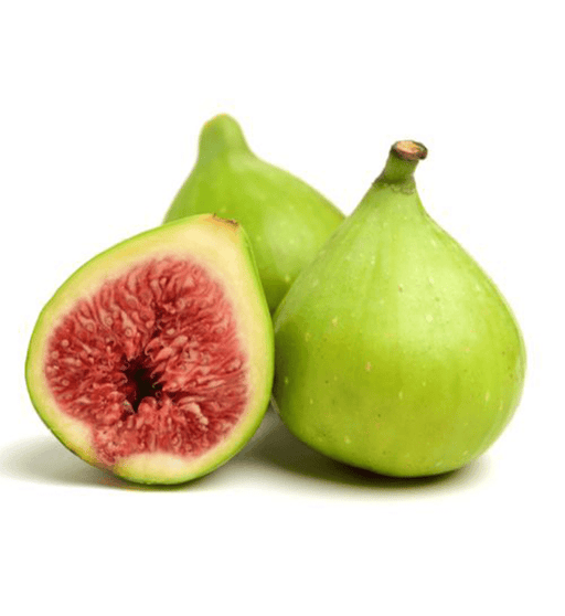 Fig Tree Middle eastern 1.0 - 1.2m - Greensouq - 