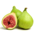 Fig Tree Middle eastern 1.0 - 1.2m - Greensouq - 