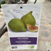 Fig Tree Middle eastern 1.0 - 1.2m - Greensouq - 