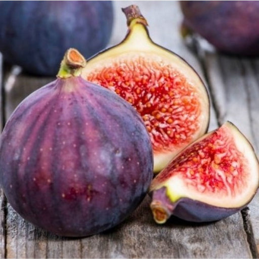Fig Tree Turkish Red - Greensouq - 