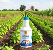 FISH N' BLOOM Fish Amino Acid (FAA) Fertilizer - Organic, Natural Soil Health Booster | 5 Liters - Greensouq - 