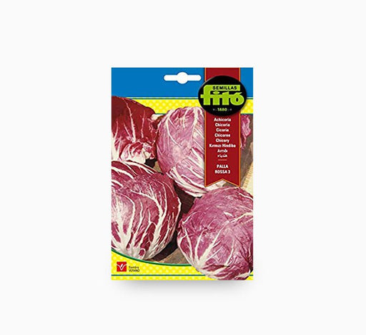 Fito Corn Salad Big Grain - Greensouq - 