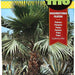 fito fan palm seeds