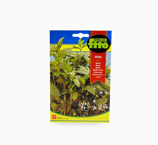 Fito Green Mint Seeds - Greensouq - 