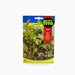 Fito Green Mint Seeds - Greensouq - 