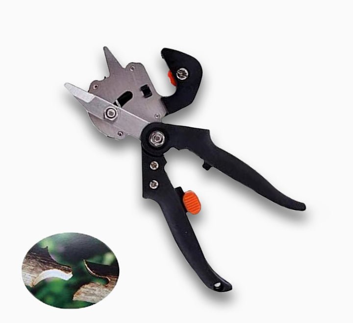 Garden Fruit Tree Pruning Shears Scissor - Greensouq - 