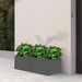 Gardenia Trio in Rectangular Fiber Glass Planter (GRP) (90x30x30cm) - Greensouq - 