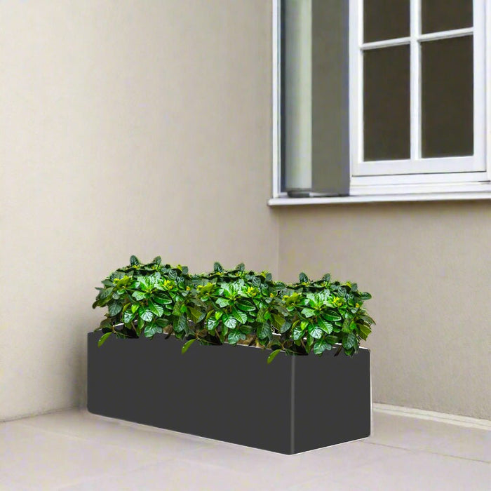 Gardenia Trio in Rectangular Fiber Glass Planter (GRP) (90x30x30cm) - Greensouq - 