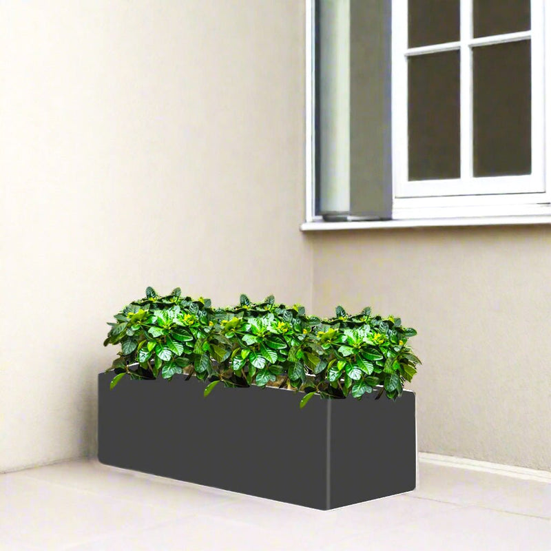 3x Gardenia Set in Rectangular Fiber Glass Planter (GRP) (90x30x30cm) - Greensouq -