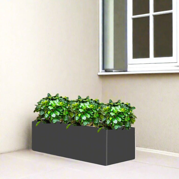 Gardenia Trio in Rectangular Fiber Glass Planter (GRP) (90x30x30cm) - Greensouq - 