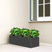 Gardenia Trio in Rectangular Fiber Glass Planter (GRP) (90x30x30cm) - Greensouq - 
