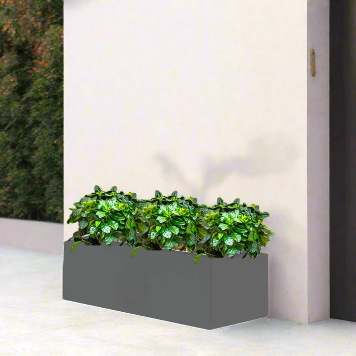 Gardenia Trio in Rectangular Fiber Glass Planter (GRP) (90x30x30cm) - Greensouq - 