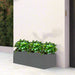 Gardenia Trio in Rectangular Fiber Glass Planter (GRP) (90x30x30cm) - Greensouq - 