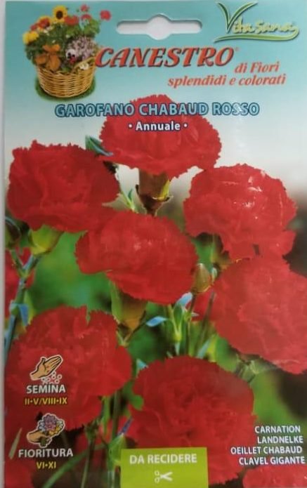 Garofano Chabaud Rosso Seed by CANESTRO - Greensouq - 