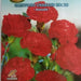 Garofano Chabaud Rosso Seed by CANESTRO - Greensouq - 