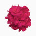 Geranium "Crane's - bill" Mix Flowers - Greensouq - 