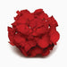 Geranium "Crane's - bill" Mix Flowers - Greensouq - 