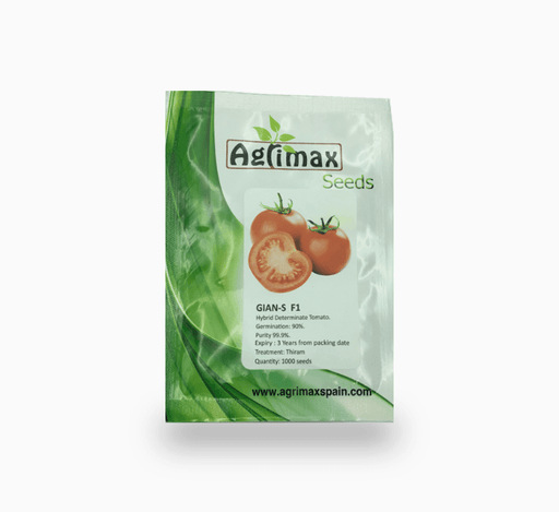 GIAN - S Hybrid Determinate Tomato 1000 Premium Quality Seeds - Greensouq - 